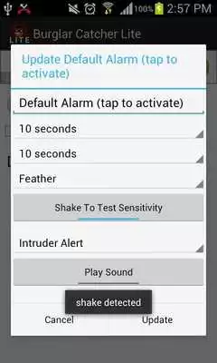 Play Burglar, Thief Catcher Lite