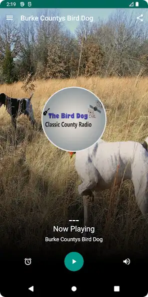 Play Burke Countys Bird Dog  and enjoy Burke Countys Bird Dog with UptoPlay