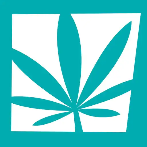 Play Burlington Cannabis APK Play Burlington Cannabis APK