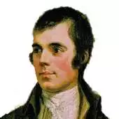 Free play online Burns Night APK