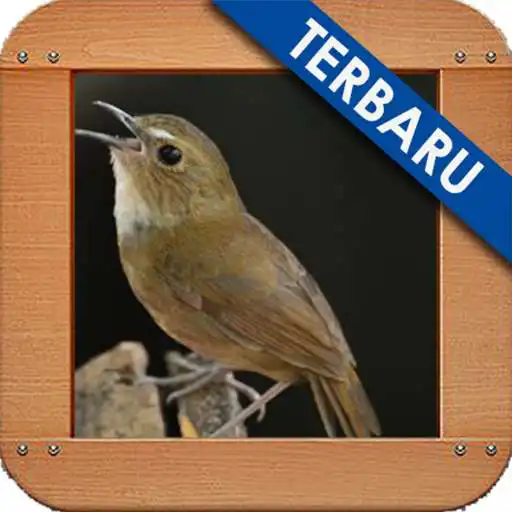 Run free android online Burung Jongkangan Ngekek Gacor APK Run free android online Burung Jongkangan Ngekek Gacor APK