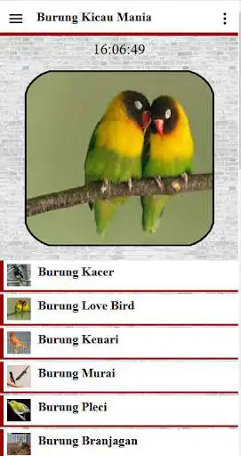 Play Burung Kicau as an online game Burung Kicau with UptoPlay
