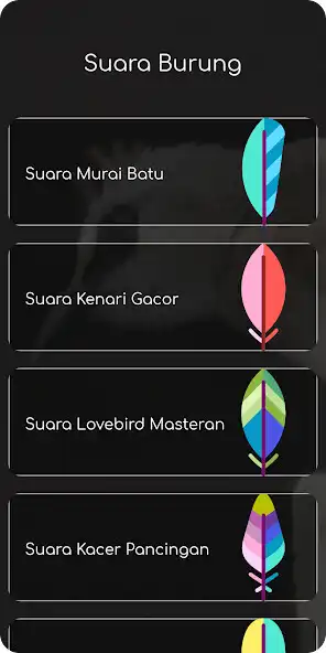 Play Burung Trucukan Gacor and enjoy Burung Trucukan Gacor with UptoPlay Play Burung Trucukan Gacor and enjoy Burung Trucukan Gacor with UptoPlay