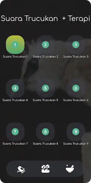 Play Burung Trucukan Gacor as an online game online Burung Trucukan Gacor with UptoPlay Play Burung Trucukan Gacor as an online game Burung Trucukan Gacor with UptoPlay