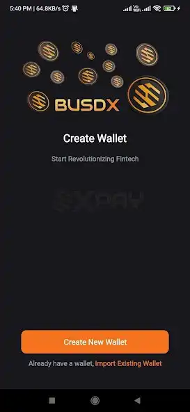 Play BUSDX Pay as an online game BUSDX Pay with UptoPlay