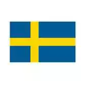Free play online Business Sweden Event APK