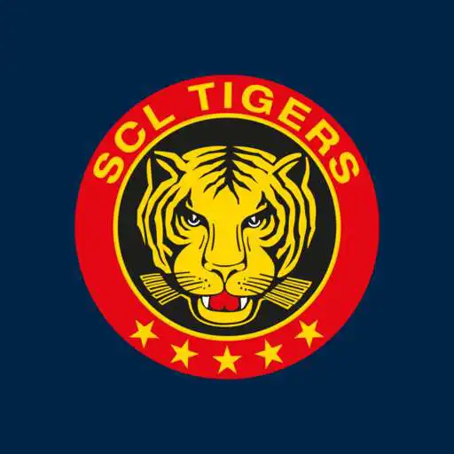 Play Business-Tigers App APK Play Business-Tigers App APK