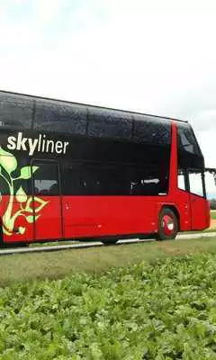 Play Bus Puzzles