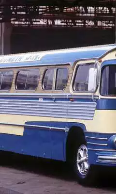 Play Bus Puzzles