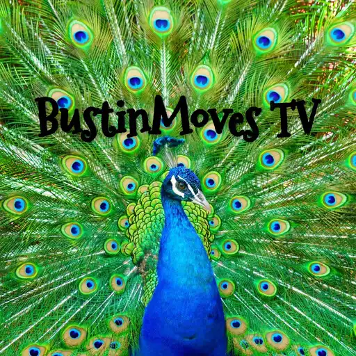 Play BustinMoves TV APK Play BustinMoves TV APK