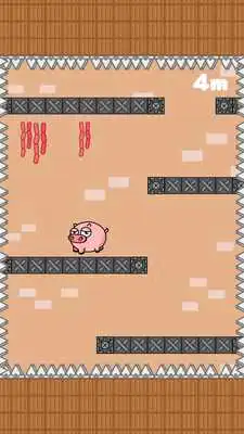 Play Butchers Escape