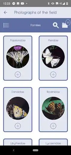 Play Butterflies of Greece as an online game Butterflies of Greece with UptoPlay
