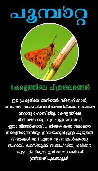 Play Butterflies of Kerala  and enjoy Butterflies of Kerala with UptoPlay