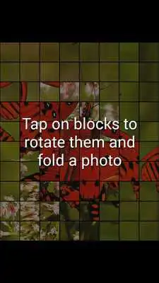 Play Butterflies Puzzle Game Play Butterflies Puzzle Game