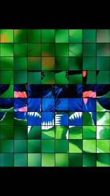 Play Butterflies Puzzle Game Play Butterflies Puzzle Game
