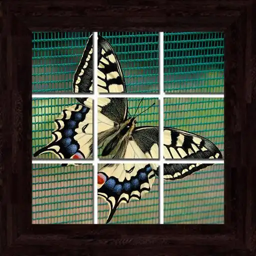 Play Butterflies Puzzles - 101 pictures APK Play Butterflies Puzzles - 101 pictures APK
