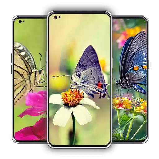 Play Butterflies Wallpaper APK Play Butterflies Wallpaper APK