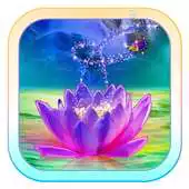 Free play online Butterfly Butterfly APK