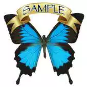 Free play online Butterfly, Butterfly (sample) APK Free play online Butterfly, Butterfly (sample) APK