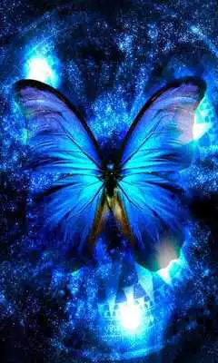 Play Butterfly Butterfly