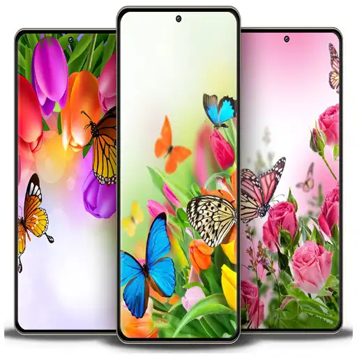 Play Butterfly cute wallpaper APK