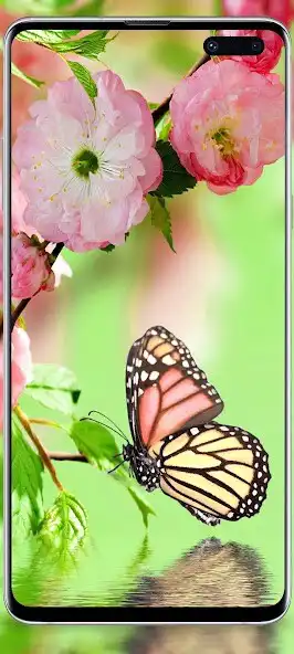 Play Butterfly cute wallpaper as an online game Butterfly cute wallpaper with UptoPlay