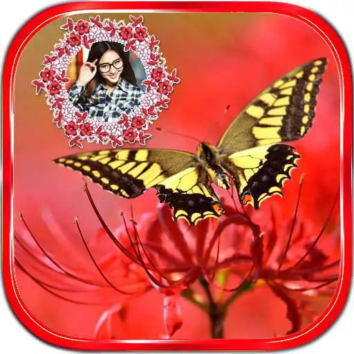 Play Butterfly Frames APK Play Butterfly Frames APK