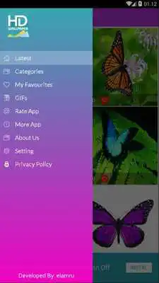 Play Butterfly Gallery
