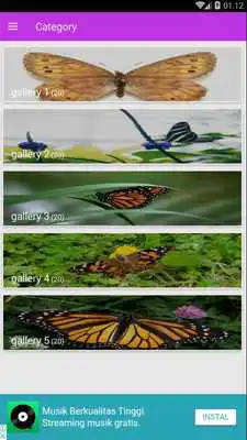 Play Butterfly Gallery
