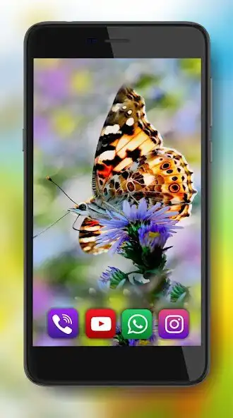 Play Butterfly HD live wallpaper  and enjoy Butterfly HD live wallpaper with UptoPlay