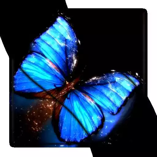 Free play online Butterfly HD Video Wallpaper APK Free play online Butterfly HD Video Wallpaper APK