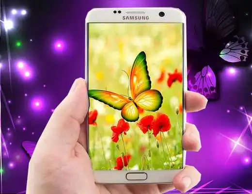 Play Butterfly HD wallpapers