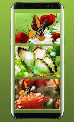 Play Butterfly Live Wallpaper HD: Butterfly Screen lock