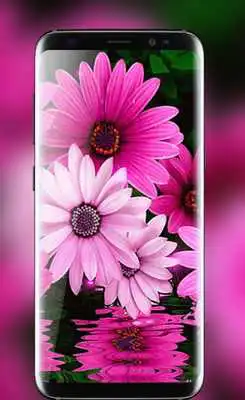 Play Butterfly Live Wallpaper HD: Butterfly Screen lock