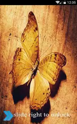 Play Butterfly lock screen cool