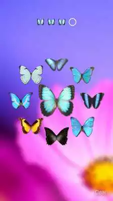 Play ButterFly LockScreen
