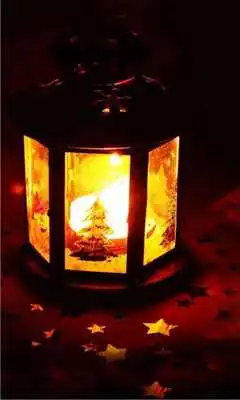 Play Butterfly Night