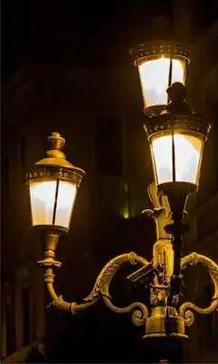 Play Butterfly Night