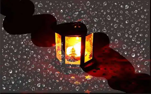 Play Butterfly Night