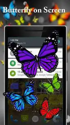 Play Butterfly On Screen