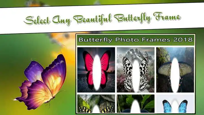 Play Butterfly Photo Frames 2018