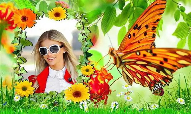 Play Butterfly Photo Frames HD