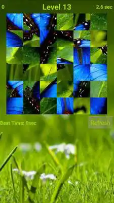 Play Butterfly Puzzle