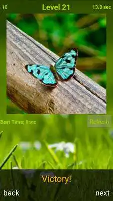Play Butterfly Puzzle