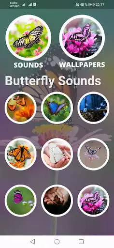 Play Butterfly Sounds and Wallpaper as an online game Butterfly Sounds and Wallpaper with UptoPlay