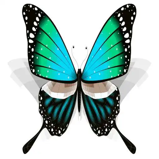 Play Butterfly stickers WA Stickers APK Play Butterfly stickers WA Stickers APK