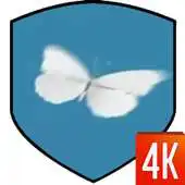 Free play online Butterfly Video Wallpaper APK
