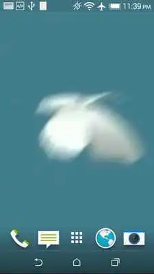Play Butterfly Video Wallpaper Play Butterfly Video Wallpaper