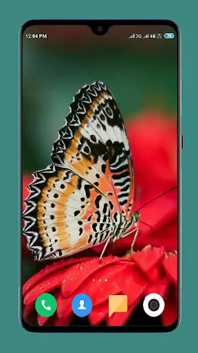 Play Butterfly Wallpaper 4K as an online game Butterfly Wallpaper 4K with UptoPlay