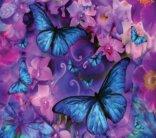 Play Butterfly Wallpaper App and enjoy Butterfly Wallpaper App with UptoPlay Play Butterfly Wallpaper App and enjoy Butterfly Wallpaper App with UptoPlay